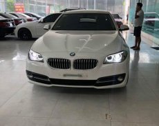 Xe Cũ BMW 5 520i 2015 giá 1 tỷ 560 tr tại Cả nước